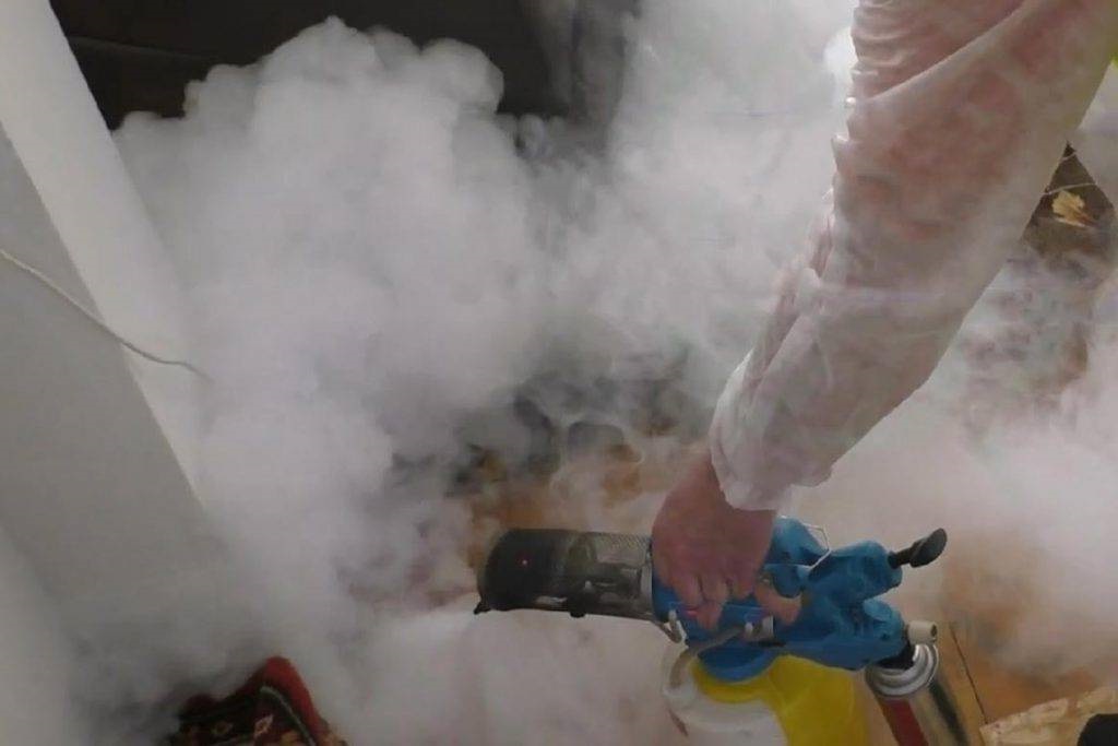 Борьба с плесенью холодным туманом