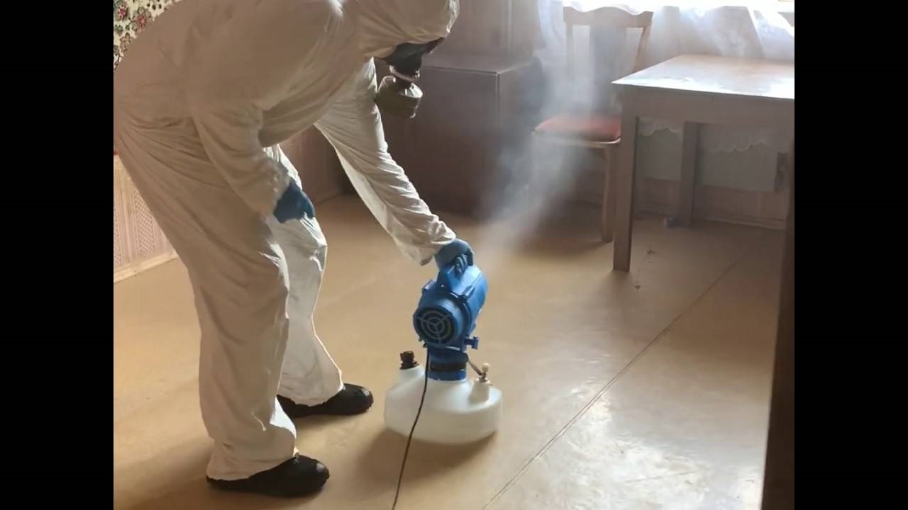 Уничтожение блох холодным туманом