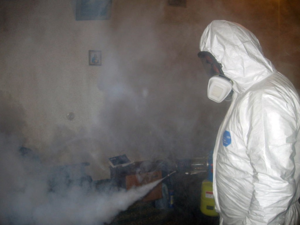 Холодный туман от муравьев