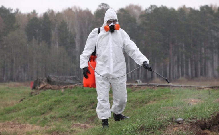 Уничтожение клещей в Кировске