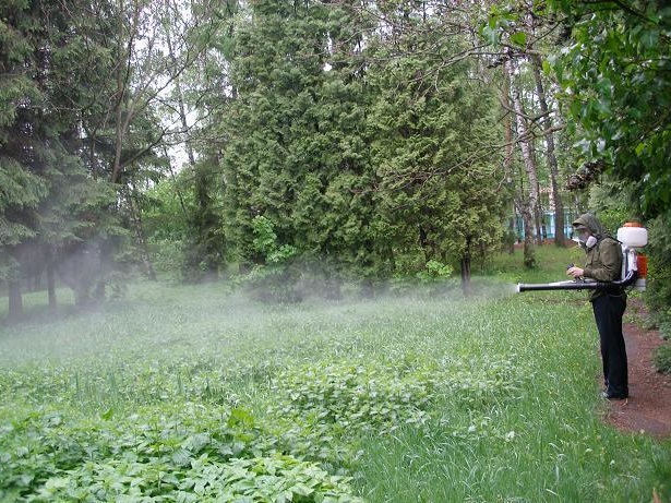Уничтожение клещей в Гатчине