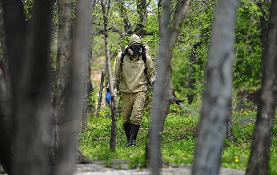 Уничтожение клещей в Янино-1