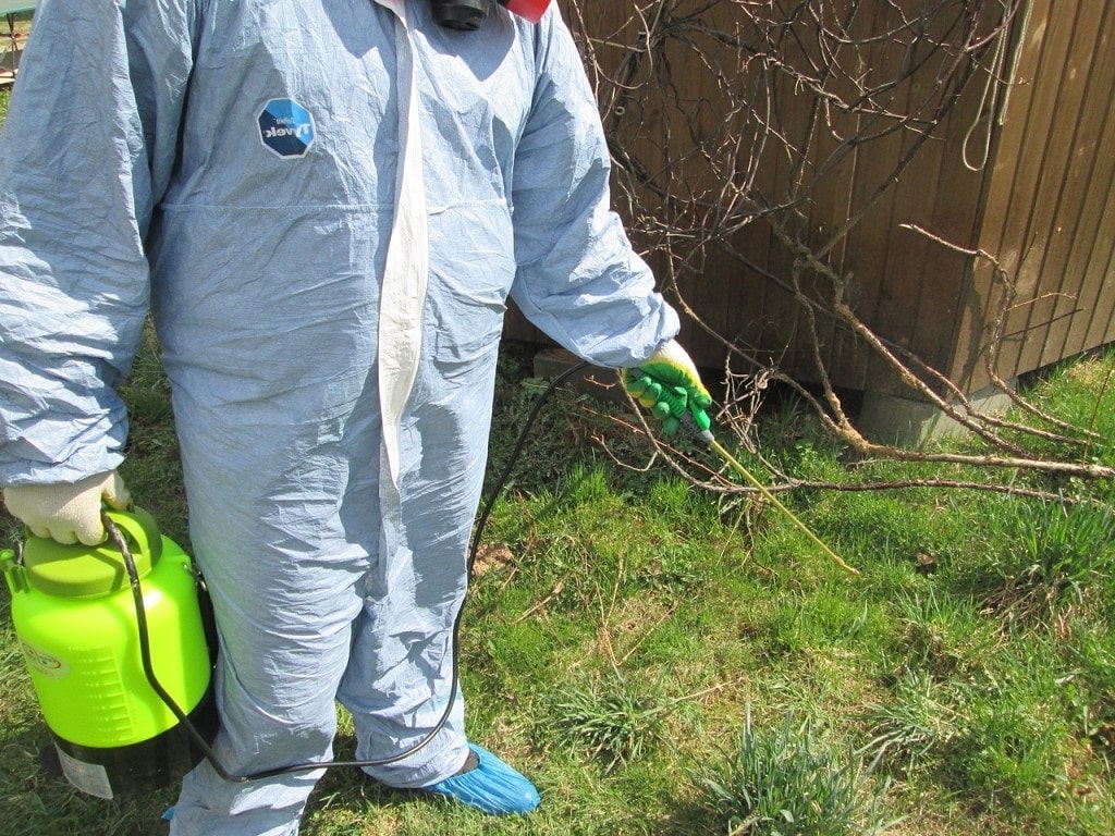 Уничтожение клещей в Сестрорецке