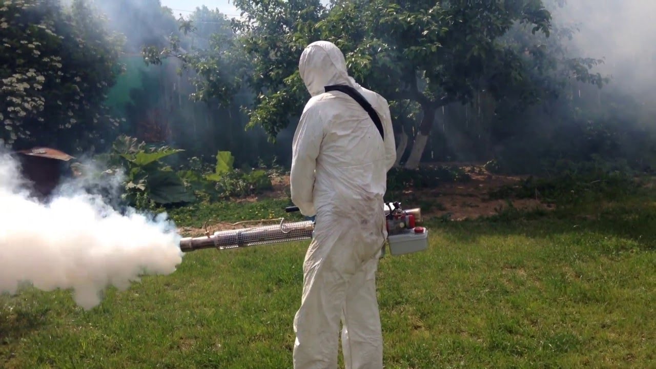 Уничтожение клещей в Кудрово