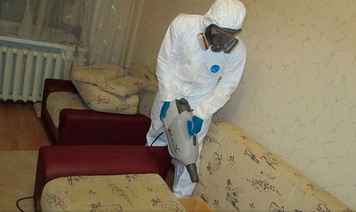 Дезинфекция после чесотки