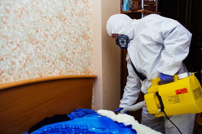 Дезинфекция после чумки