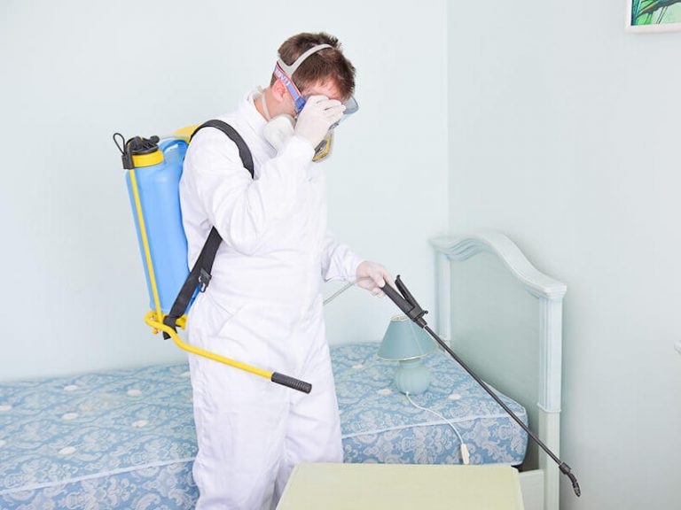 Обработка квартиры от туберкулеза